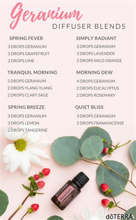 geranium essential oil blend recipes - geranium lavender essential oil blends.